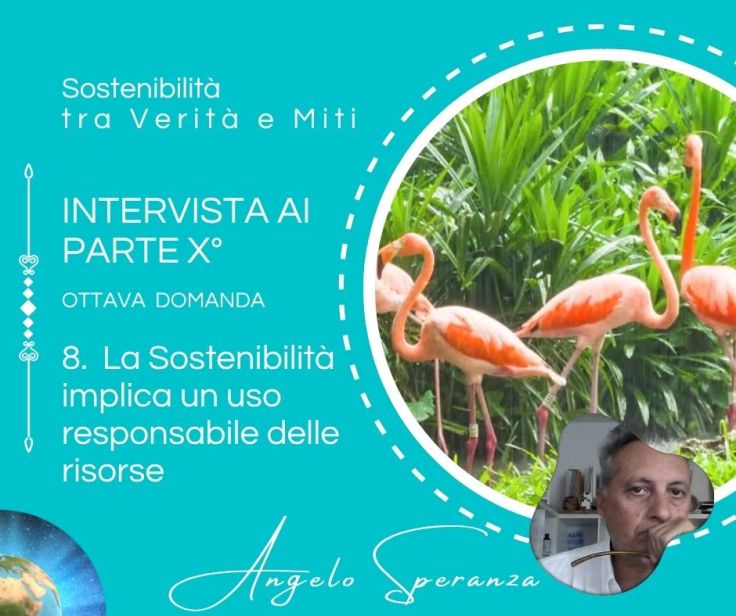 PARTE X° _ Sostenibilità tra Verità e&nbsp;Miti